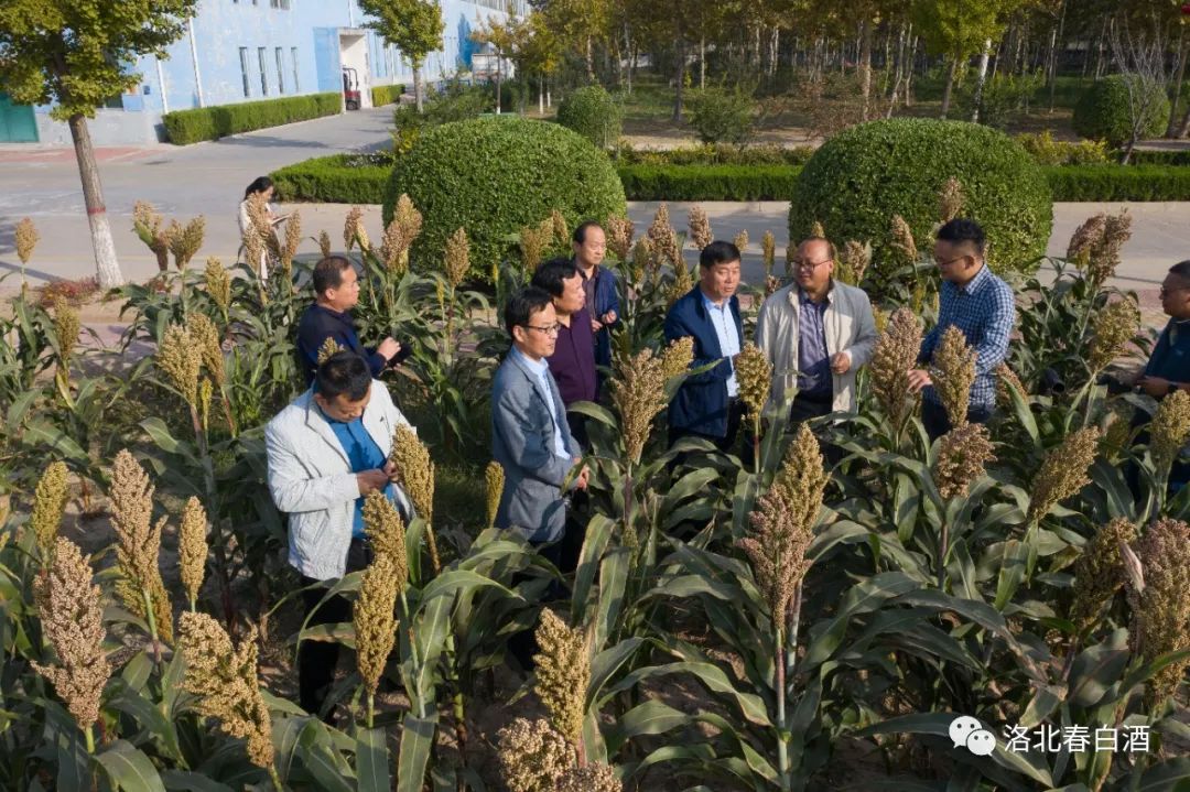 640_wx_fmt=jpeg&wxfrom=5&wx_lazy=1&wx_co=1 (5).jpg 图片