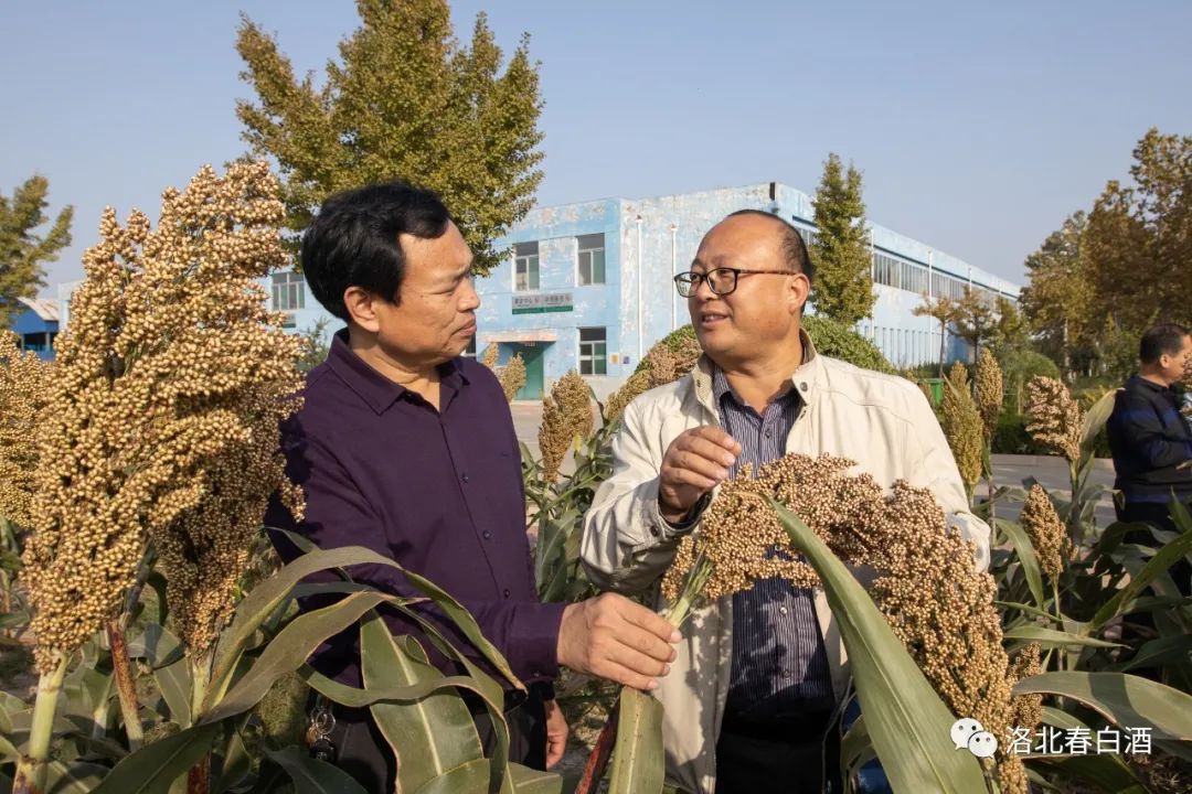 640_wx_fmt=jpeg&wxfrom=5&wx_lazy=1&wx_co=1 (3).jpg 图片